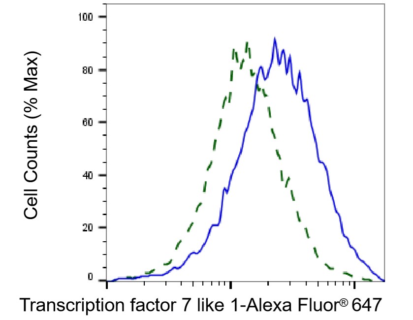 TCF7L1/TCF3 Antibody (24GB1985)