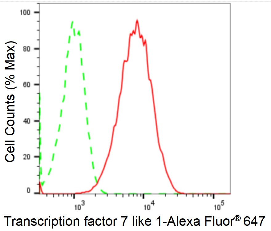 TCF7L1/TCF3 Antibody (24GB1985)