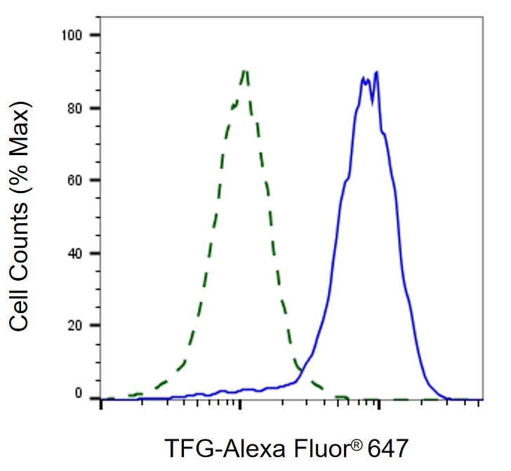 TFG Antibody (24GB2115)