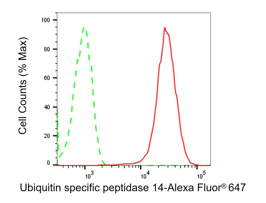 USP14 Antibody (24GB2190)