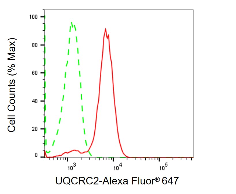 UQCRC2 Antibody (24GB2220)