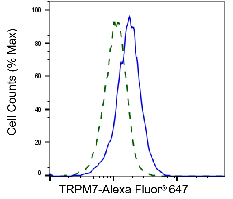 TRPM7 Antibody (24GB2250)