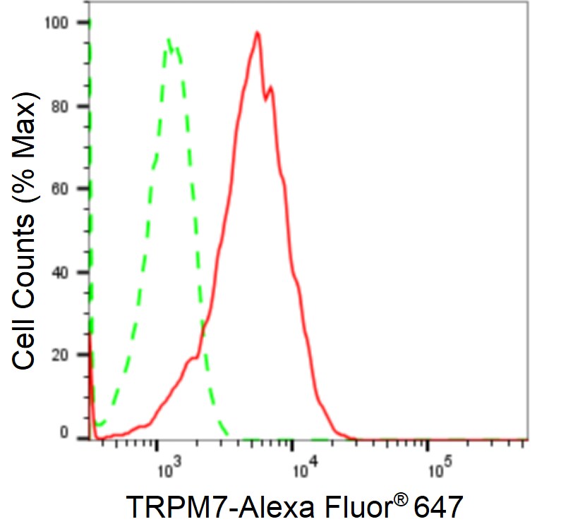 TRPM7 Antibody (24GB2250)