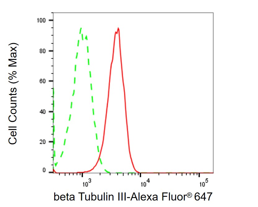 beta-III Tubulin Antibody (24GB1740)