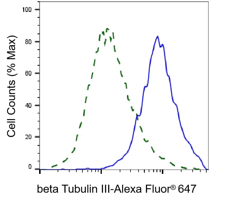 beta-III Tubulin Antibody (24GB1740)