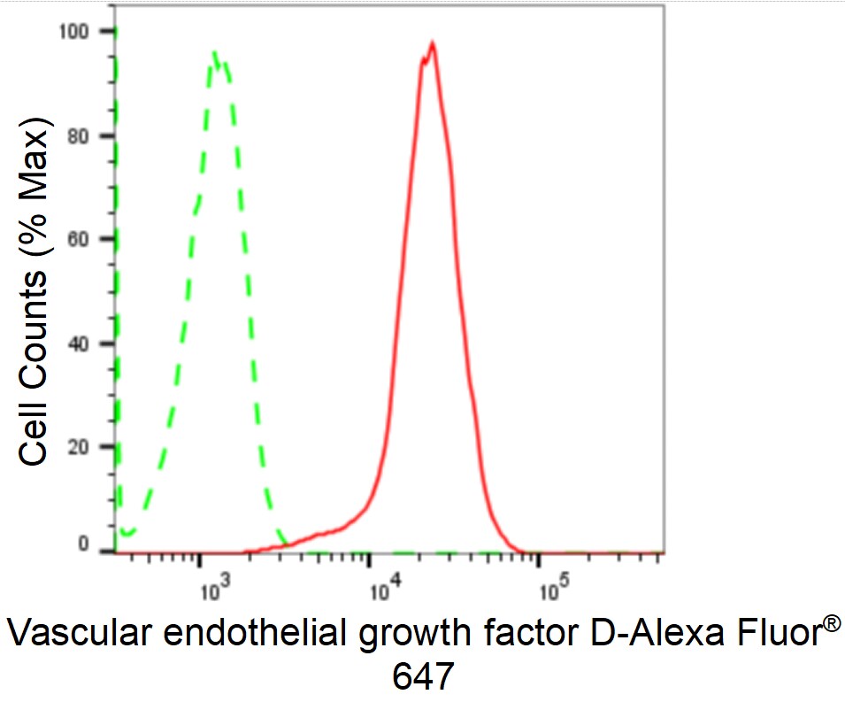 VEGF-D Antibody (24GB1750)