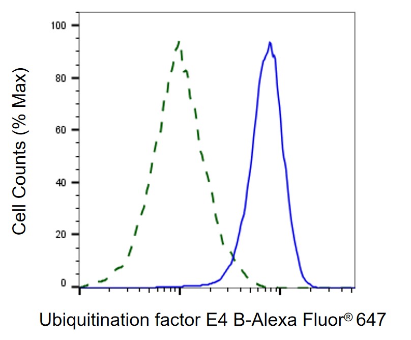 UBE4B Antibody (24GB1765)