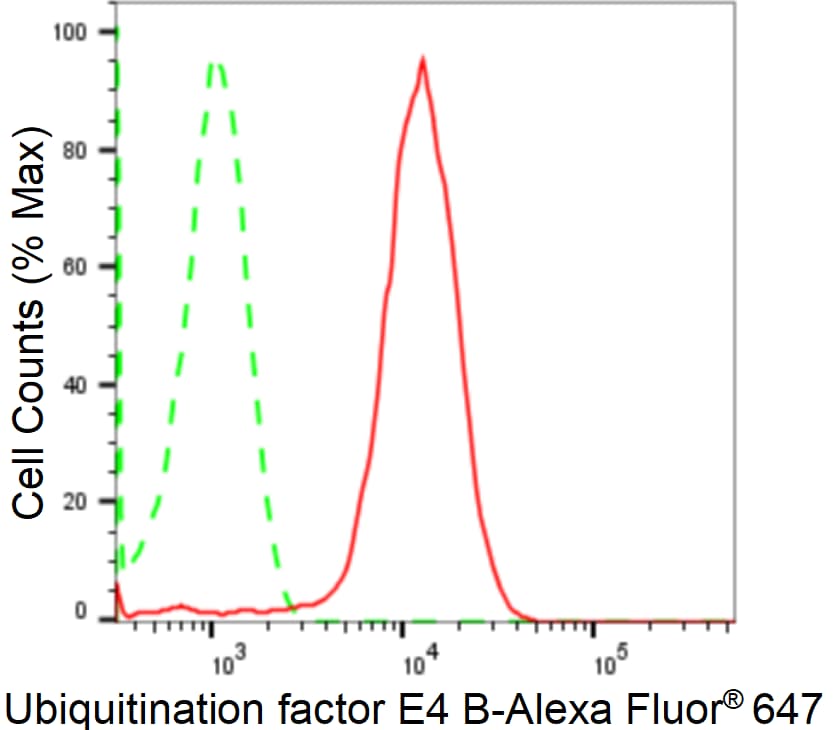 UBE4B Antibody (24GB1765)