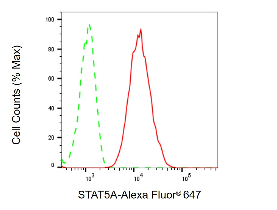 STAT5A Antibody (24GB1920)