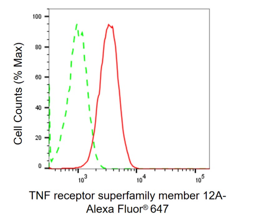 TWEAK R/TNFRSF12 Antibody (24GB2070)