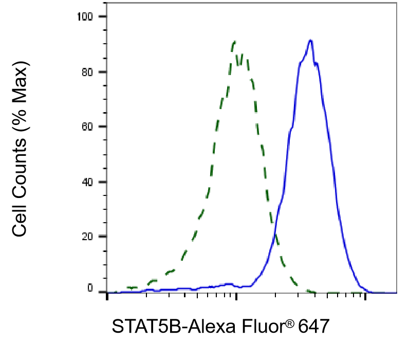 STAT5b Antibody (24GB2110)