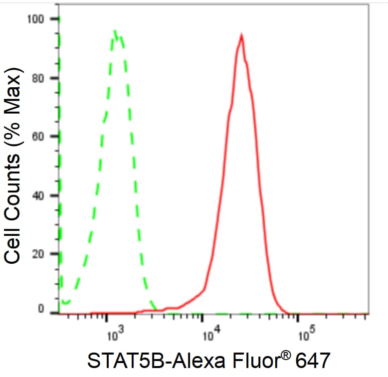 STAT5b Antibody (24GB2110)
