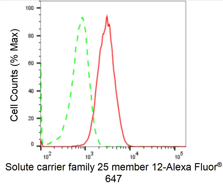 SLC25A12 Antibody (24GB2340)
