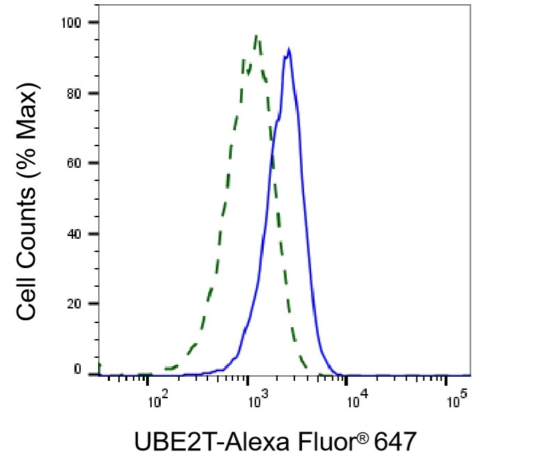 UBE2T Antibody (24GB2350)