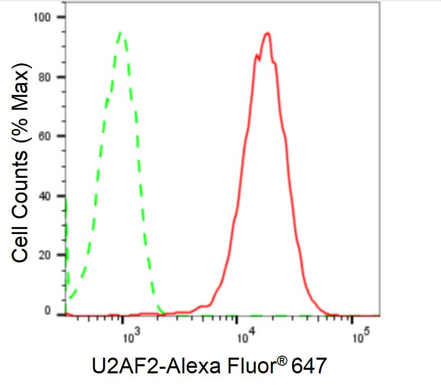 U2AF2 Antibody (24GB2465)