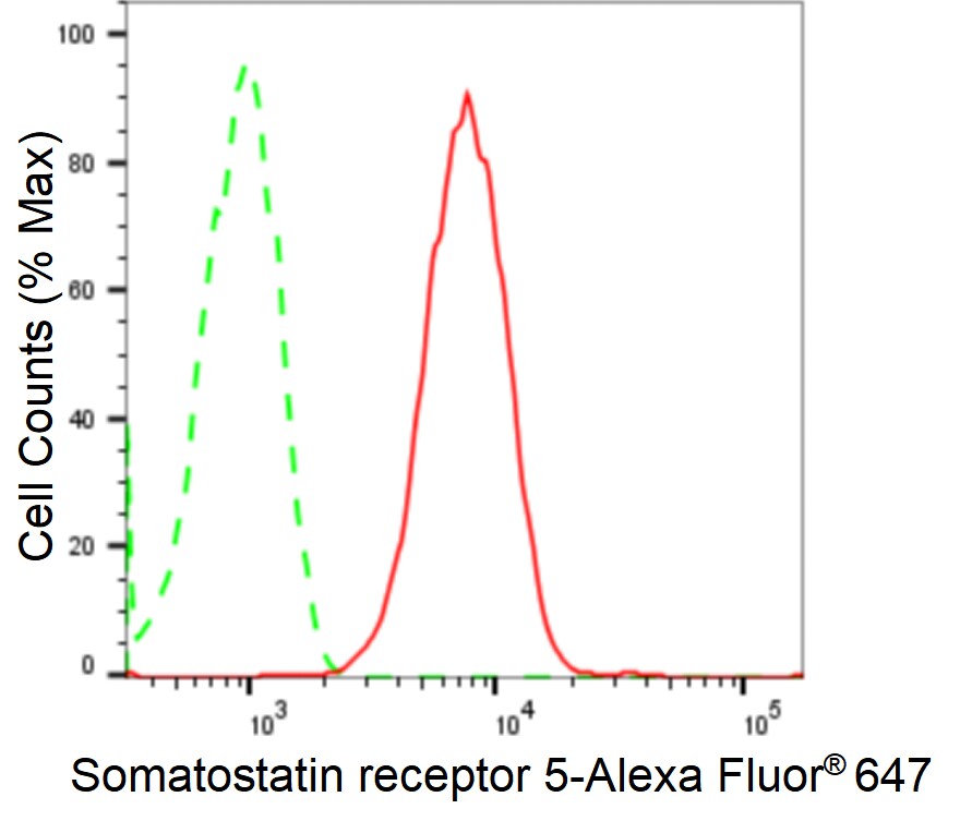 Somatostatin R5/SSTR5 Antibody (24GB2600)
