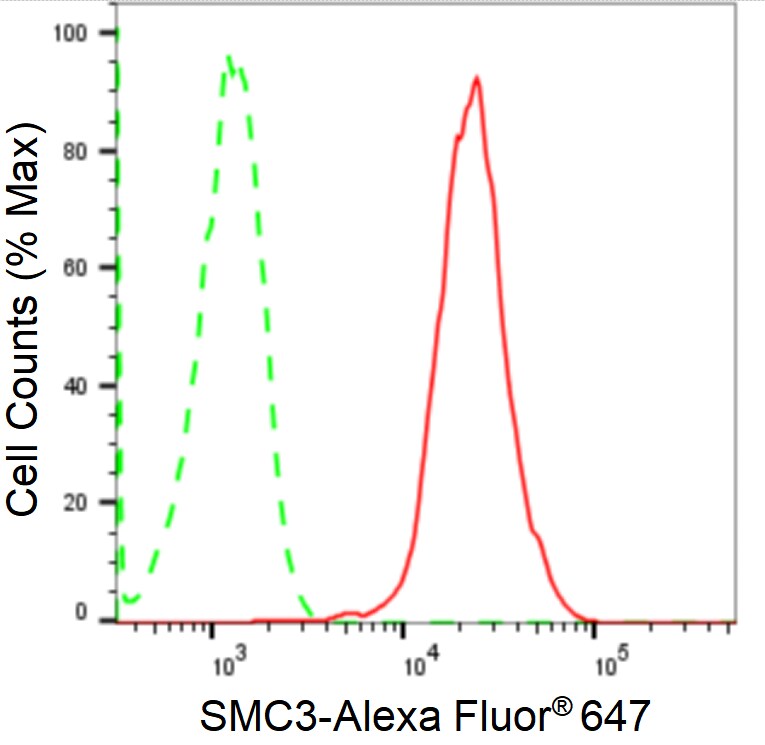 SMC3 Antibody (24GB2155)