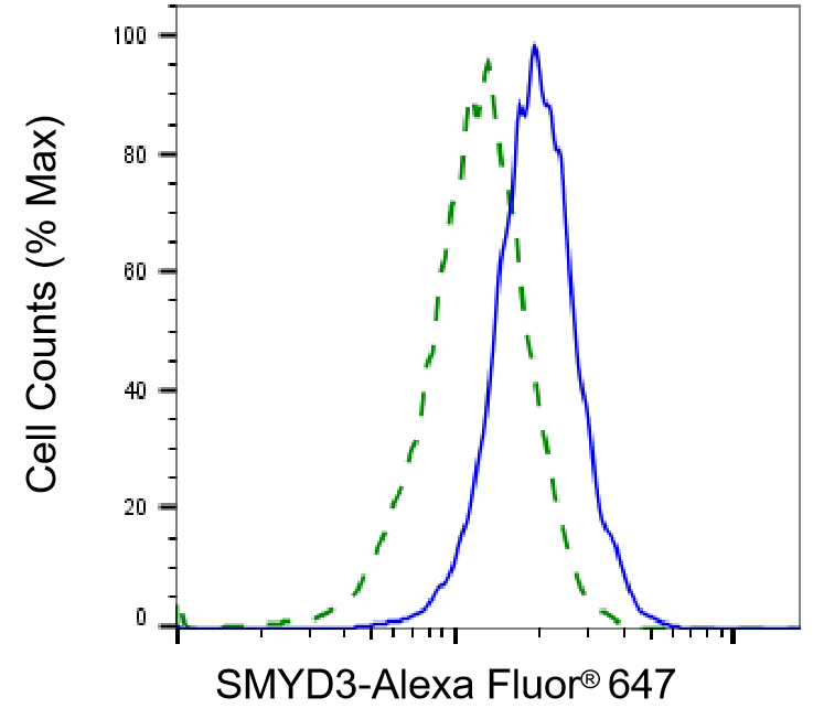SMYD3 Antibody (24GB2260)