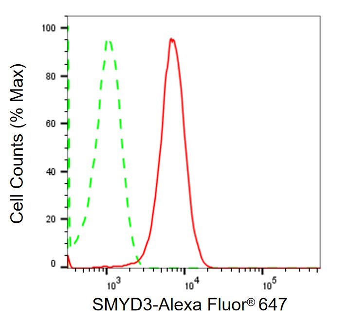 SMYD3 Antibody (24GB2260)