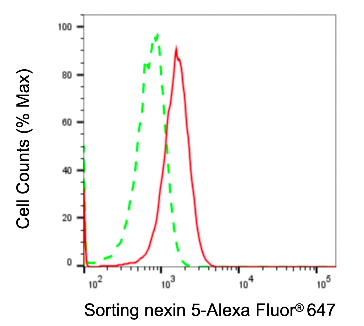 SNX5 Antibody (24GB2310)