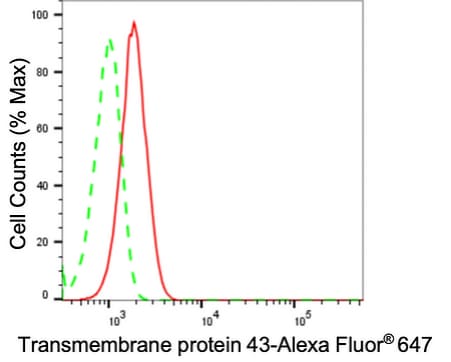 TMEM43 Antibody (24GB2325)