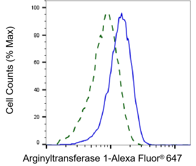 ATE1 Antibody (24GB4720)