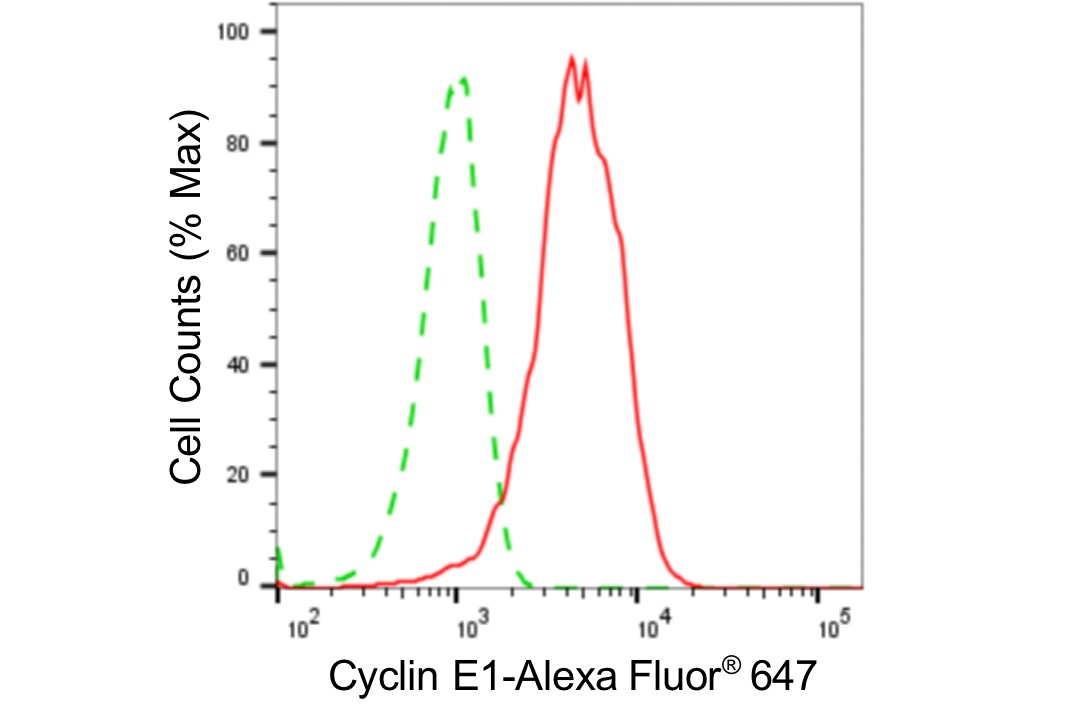 Cyclin E1 Antibody (24GB4745)