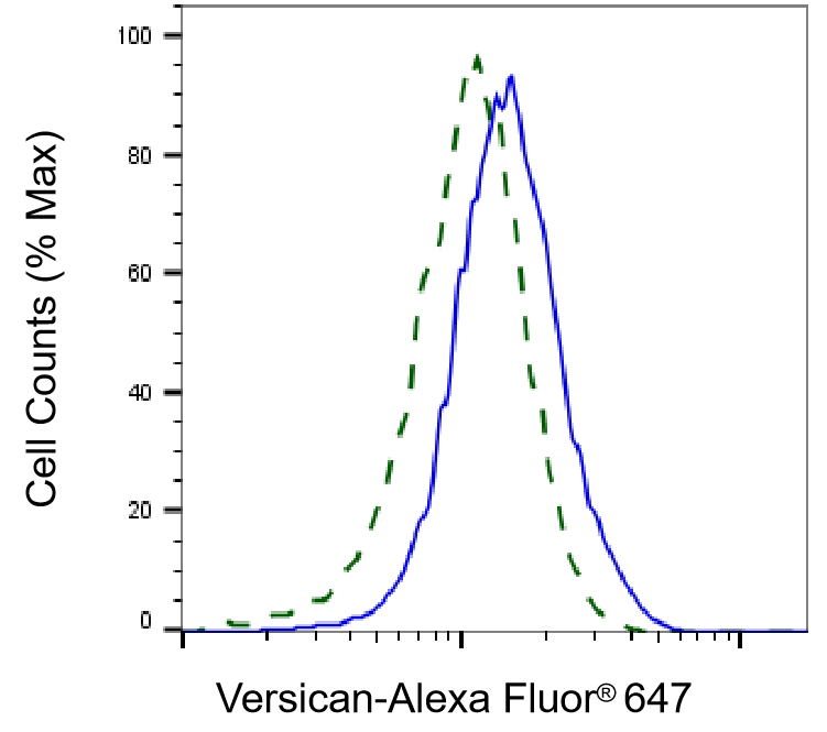Versican Antibody (24GB2380)
