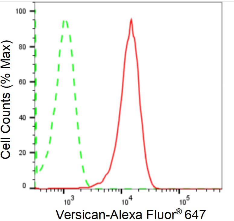 Versican Antibody (24GB2380)