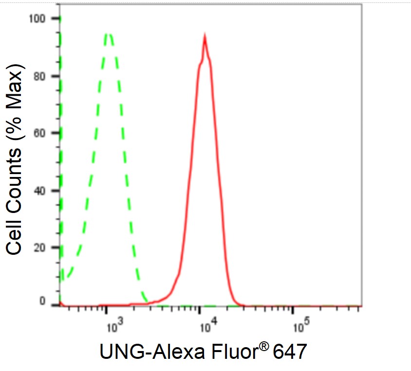 UNG Antibody (24GB2530)