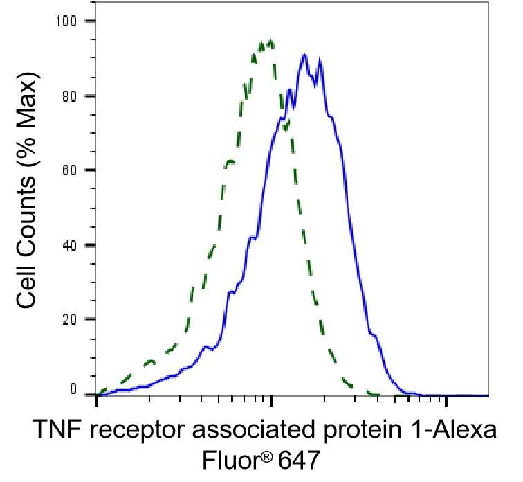 TRAP1 Antibody (24GB2560)