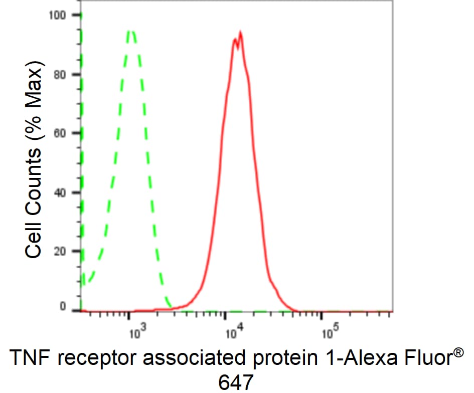 TRAP1 Antibody (24GB2560)