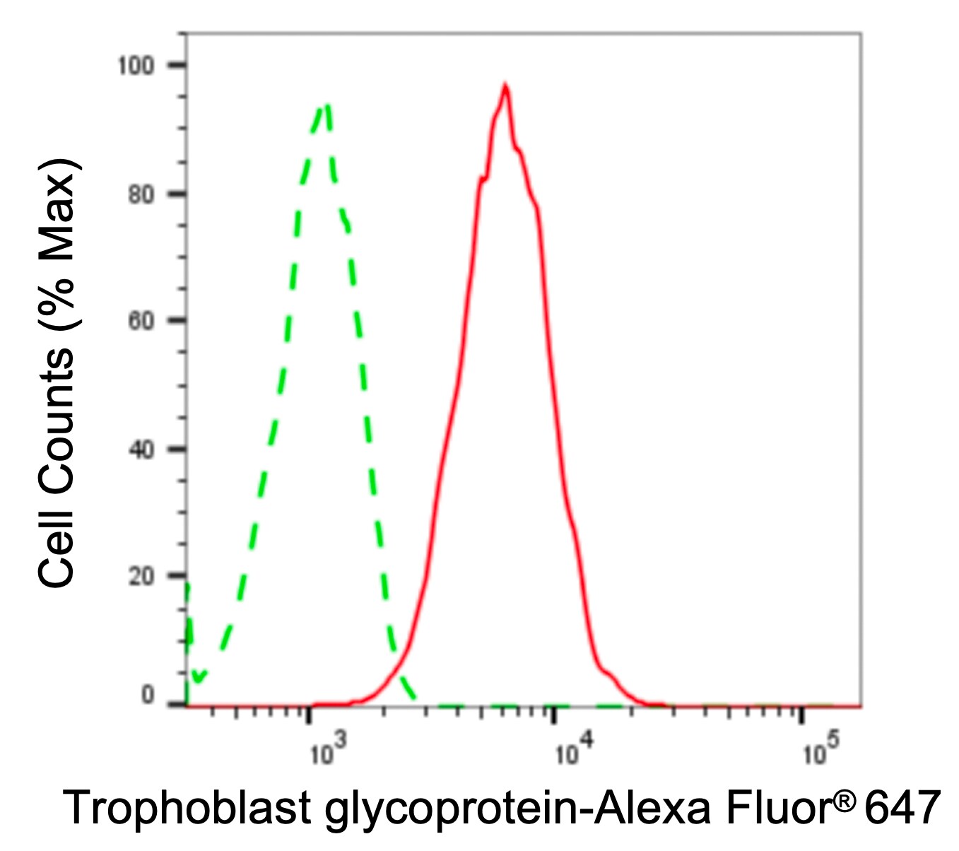 5T4 Antibody (24GB1990)