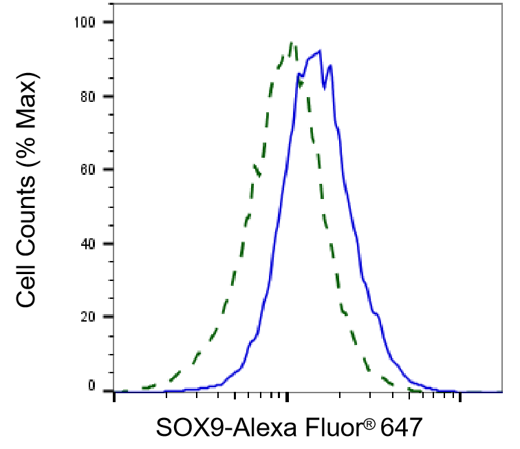 SOX9 Antibody (24GB2000)