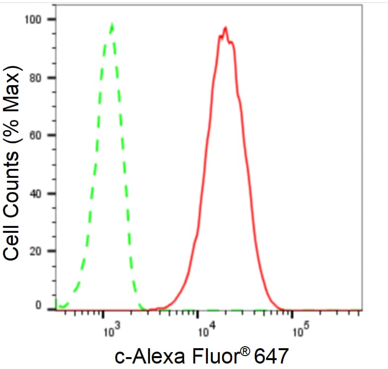 SOX9 Antibody (24GB2000)
