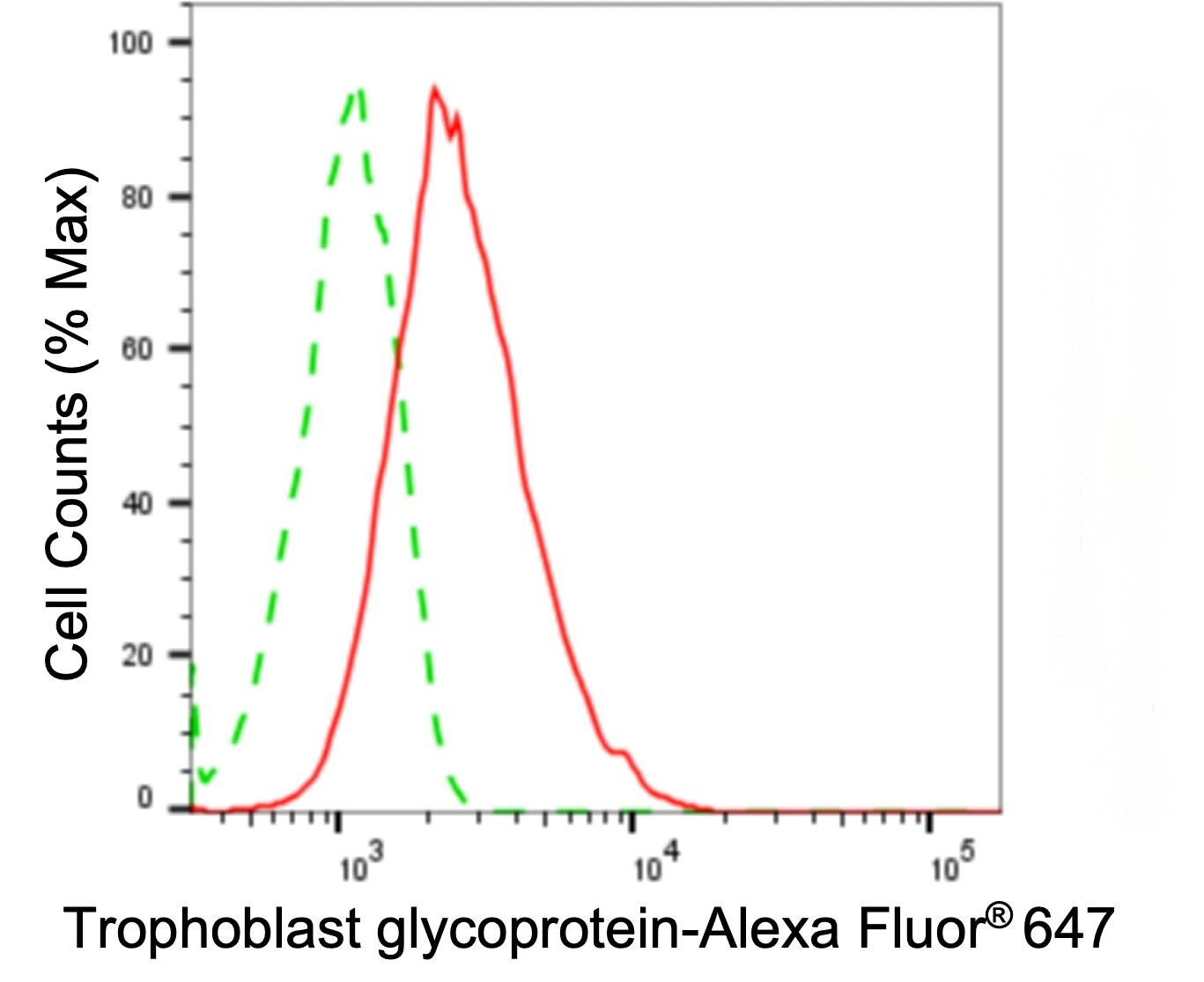 5T4 Antibody (24GB2035)