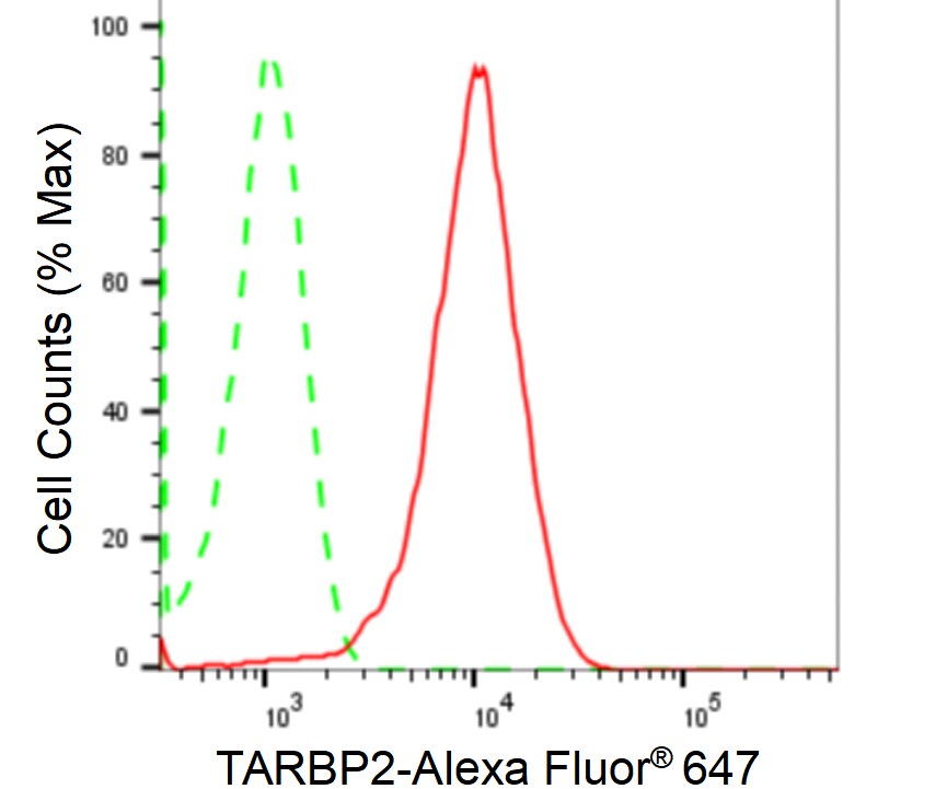 TRBP Antibody (24GB2425)