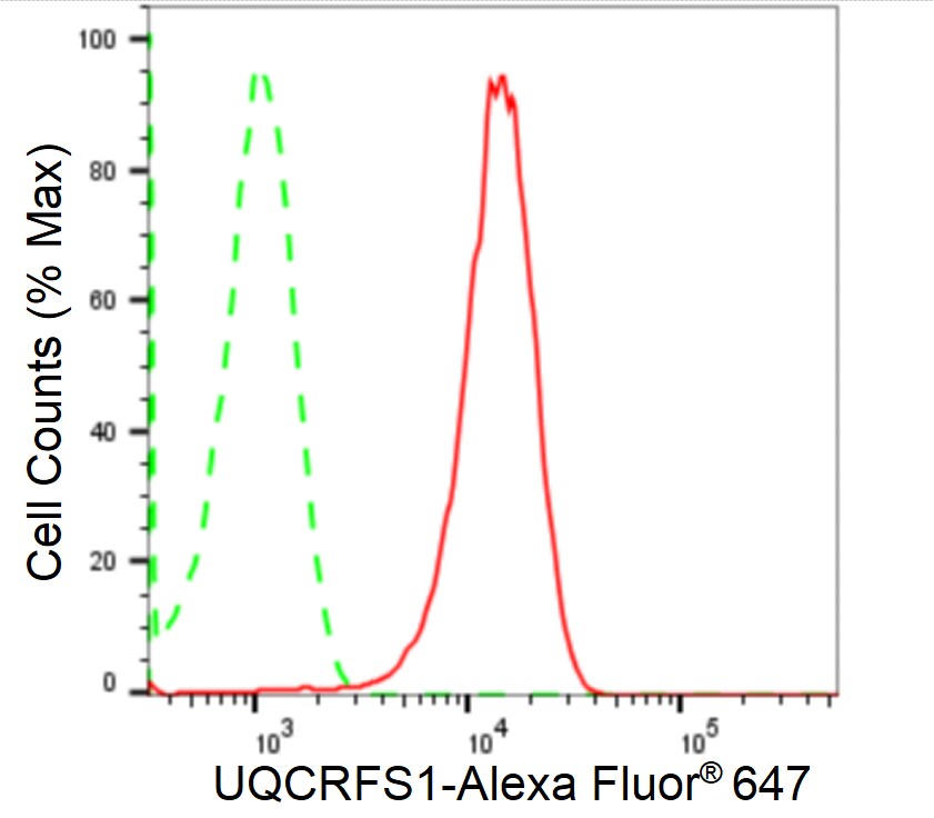 UQCRFS1 Antibody (24GB2460)