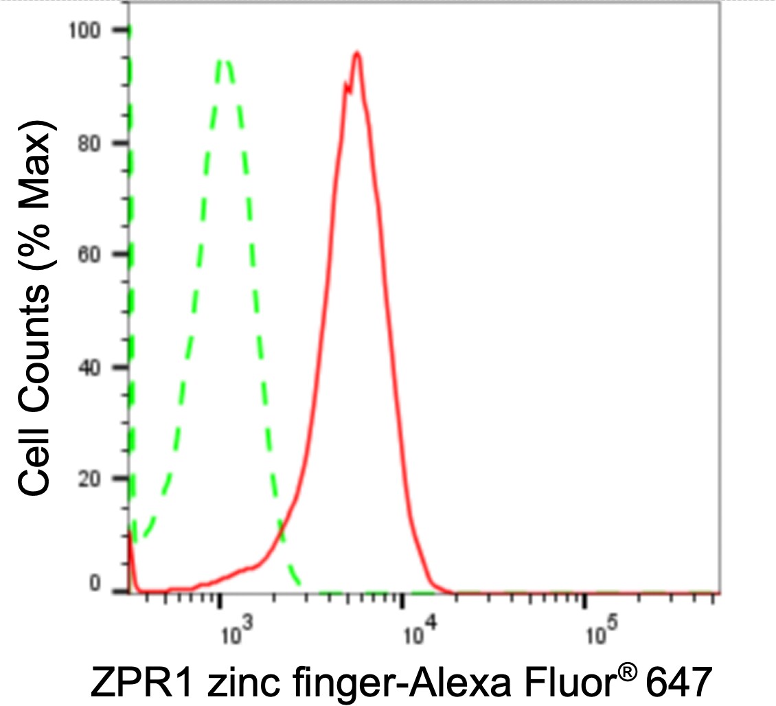 ZNF259 Antibody (24GB1805)