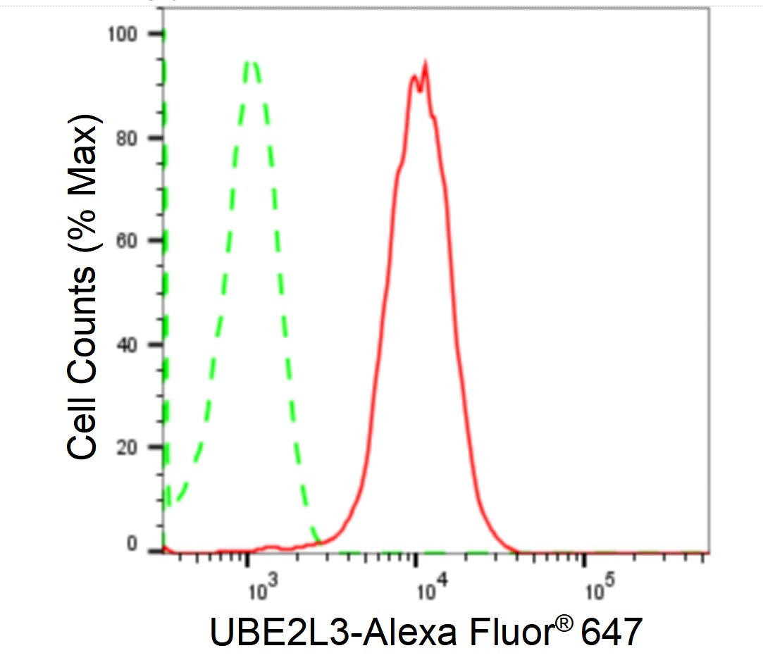 UbcH7/UBE2L3 Antibody (24GB1875)