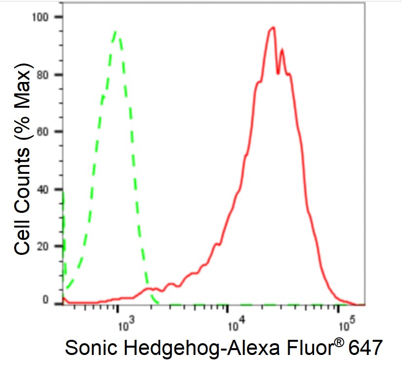 Sonic Hedgehog/Shh Antibody (24GB1925)