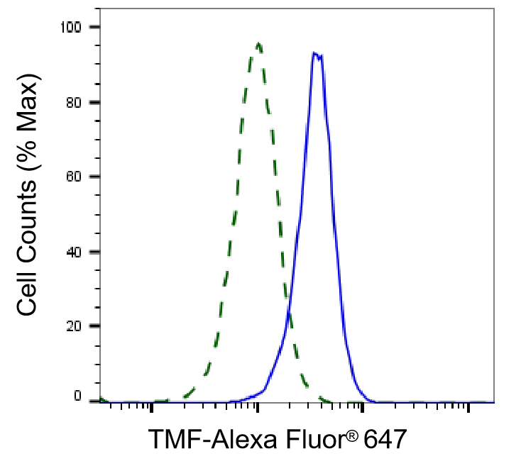TATA Element Modulatory Factor 1 Antibody (24GB1965)