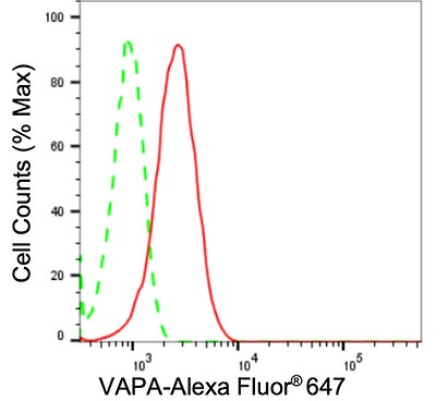 VAP-A Antibody (24GB2580)