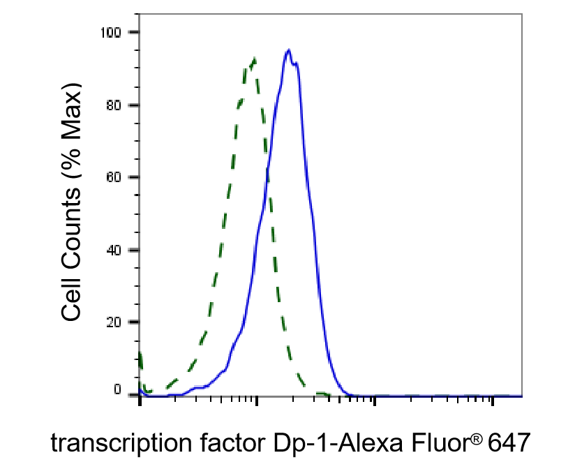 DP1 Antibody (24GB2685)
