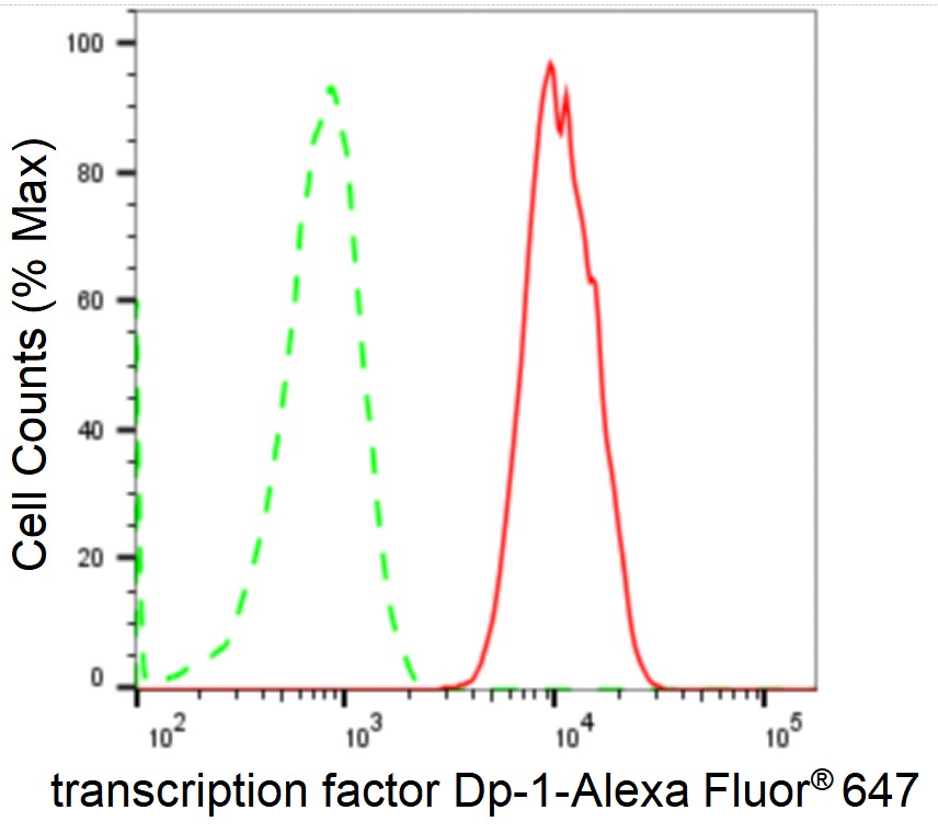 DP1 Antibody (24GB2685)