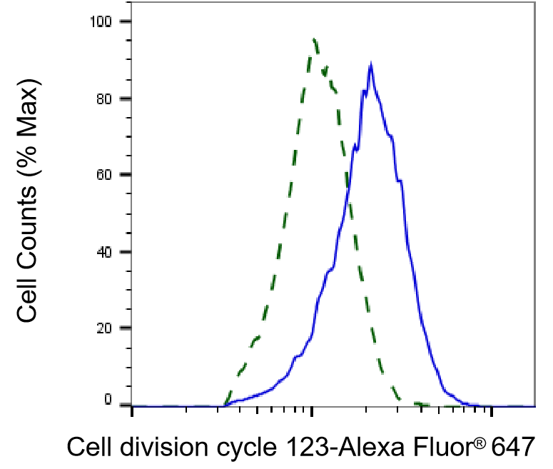 CDC123 Antibody (24GB5705)