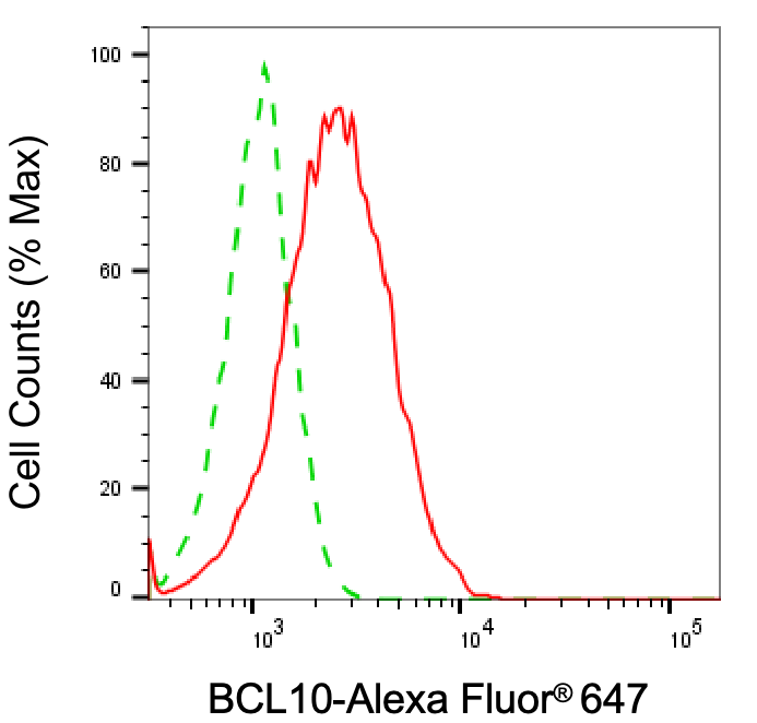 Bcl-10 Antibody (24GB2925)