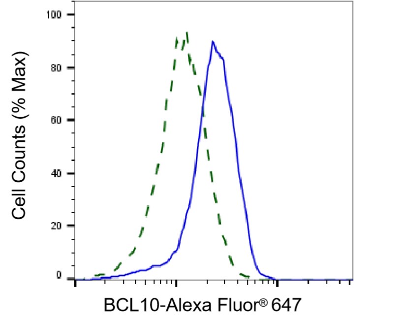 Bcl-10 Antibody (24GB2925)