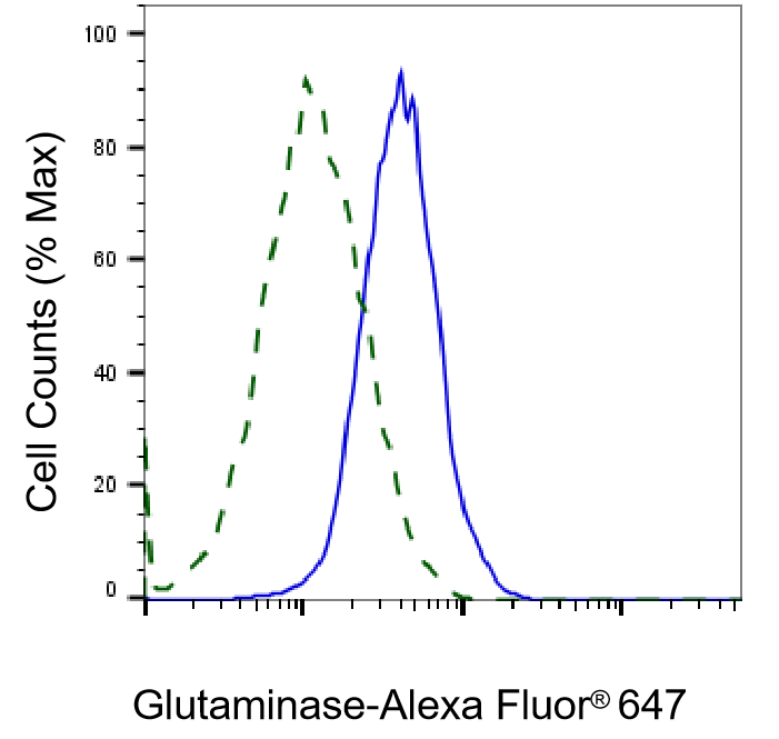 Glutaminase Antibody (23GB1720)