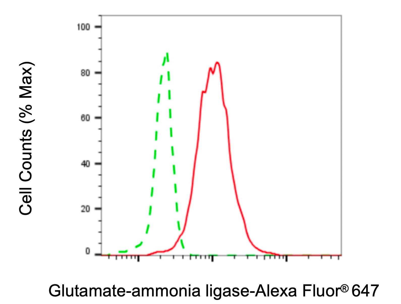 Glutamine Synthetase Antibody (23GB1345)
